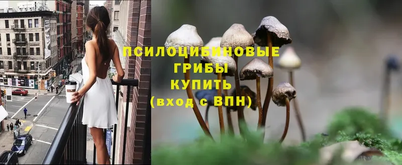 Галлюциногенные грибы MAGIC MUSHROOMS Борисоглебск